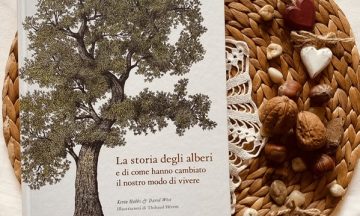 La storia degli alberi e di come hanno cambiato il nostro modo di vivere